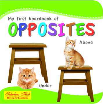 Scholars Hub My first board book of opposites